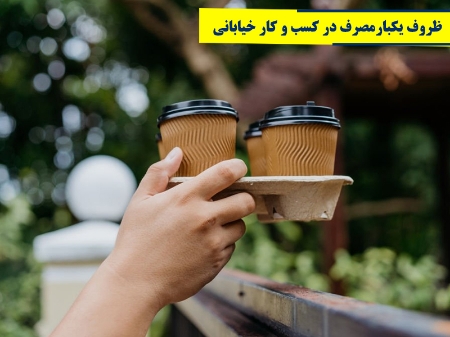 ظروف یکبار مصرف استفاده شده در کسب و کارهای خیابانی